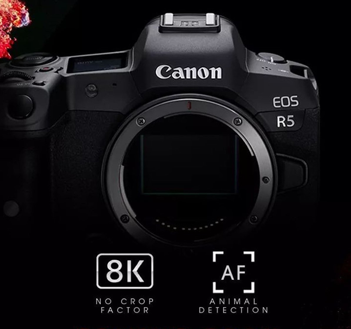 Canon EOS R5 Mirrorless
